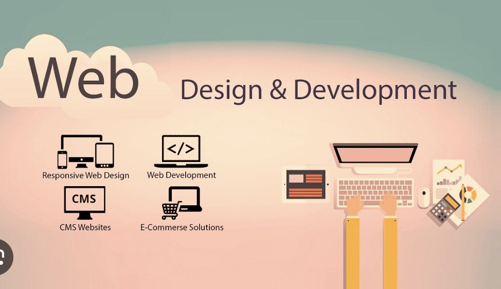 1464I will do website development, design redesign, and build wordpress website